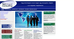 Desktop Screenshot of netintegral.info